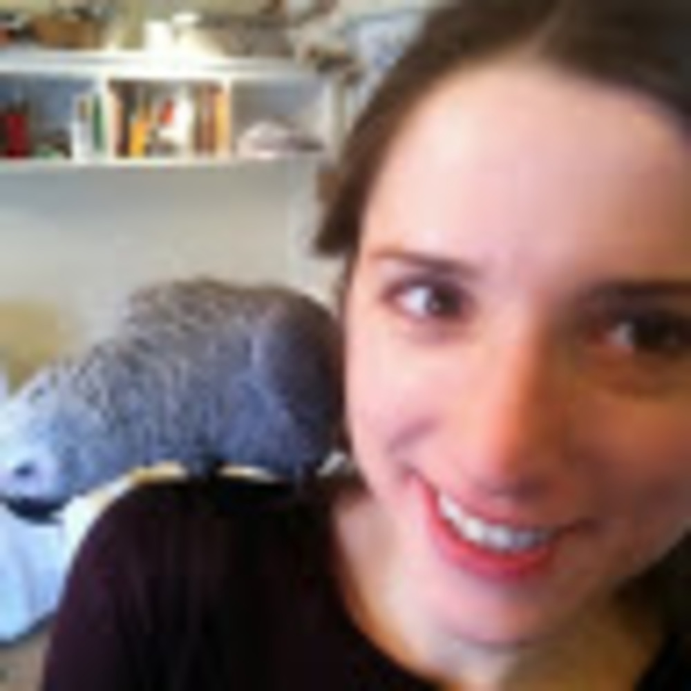 Meet your Posher, Rodica